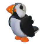 Puffin