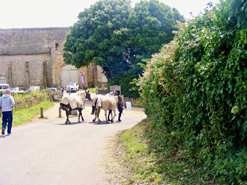 DSCF8238.jpg