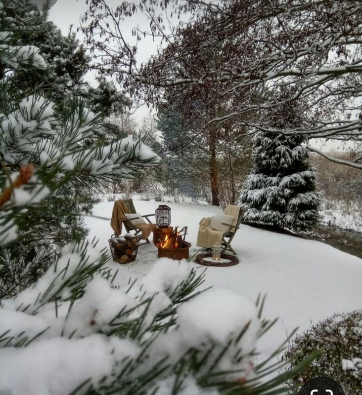 Screenshot_20231017_194636_Pinterest