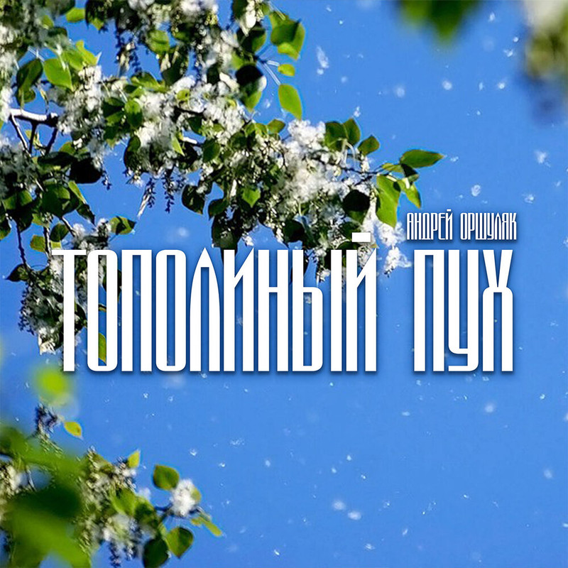 Тестотерович тополиный пух. - тополиный пух. Тополиный пух. Тополиный пух mp3. Иванушки int.
