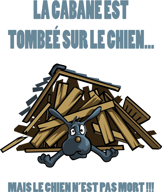 la-cabane-est-tombee-sur-le-chien.png
