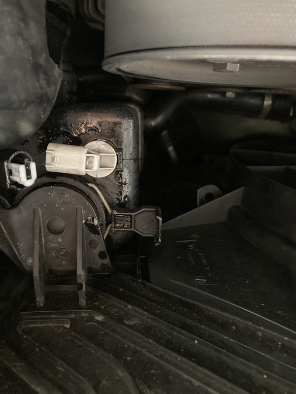 1B0B1A9D-CB85-496B-969A-5C2033663308