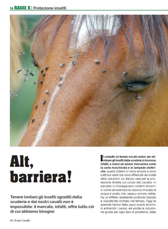 Il Mio Cav (Mag 2023) 11