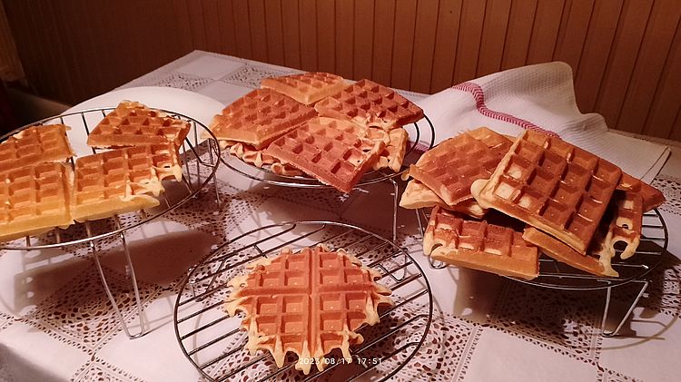 https://i.postimg.cc/XYH8Zwpr/gofrik-20230817.jpg