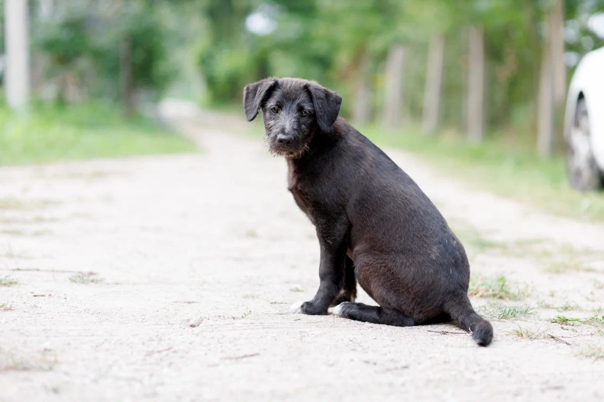 resize-image-online.com_1jpg_CQ7OWKpl