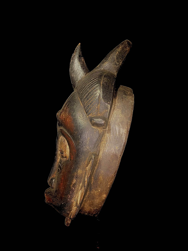 large image 9