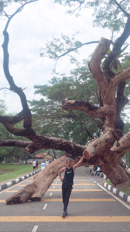 lelaki bergambar di belakang pokok