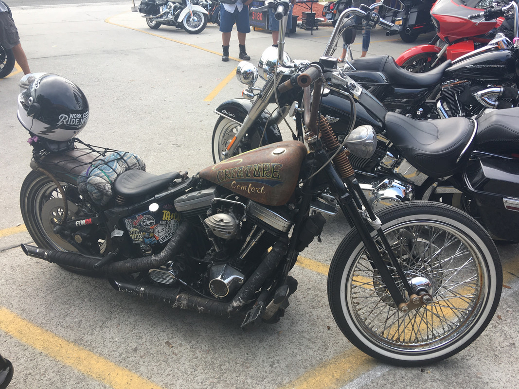 C8F82566-DC00-45B8-B2E8-52825170D239