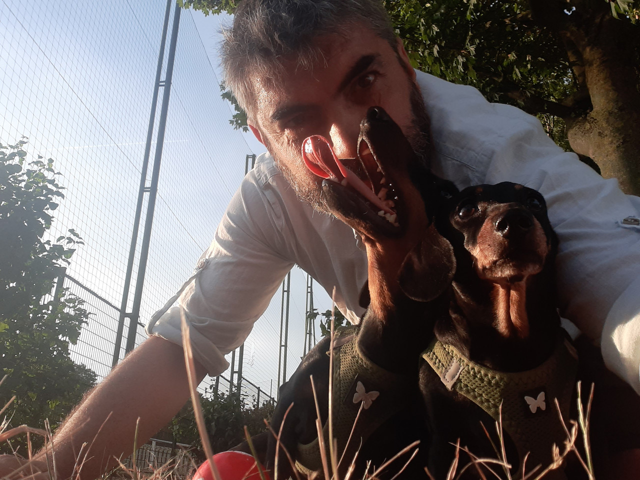 [Image: 20220803-203824.jpg]