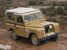 brown s2 in muddy patch2207