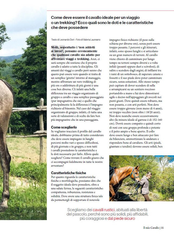 Il Mio Cav (Nov-Dic 2023) 6