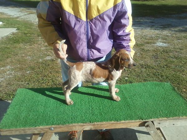 43B5D32D-2719-4B69-8900-E941168353D9