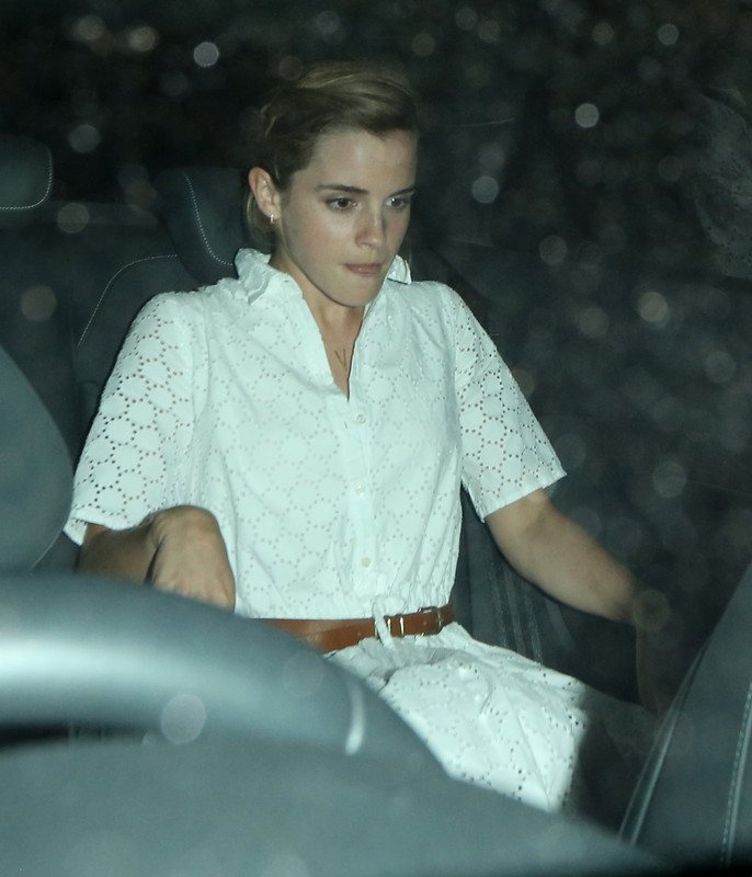 watsonuncensored.blogspot.com (52)