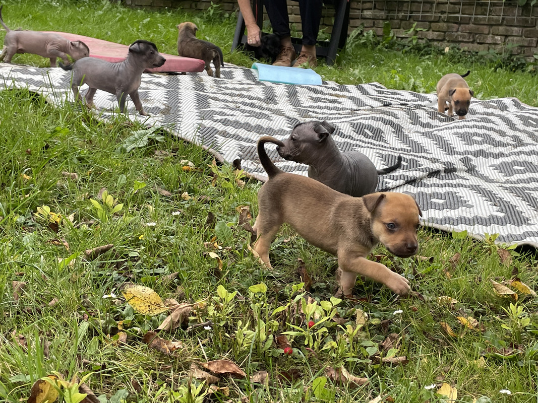 92799581-7969-4B72-963B-4C8463CF04A3