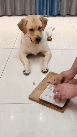 1660058402-12.gif