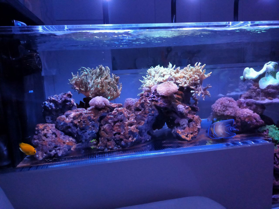 A94D5D77-5C86-4DDD-9B30-BB7BF38B90DB