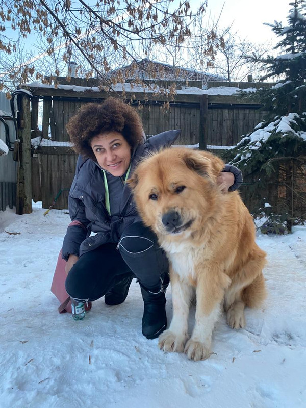 860A83D7-31D2-4C3F-94A0-167D973BD387