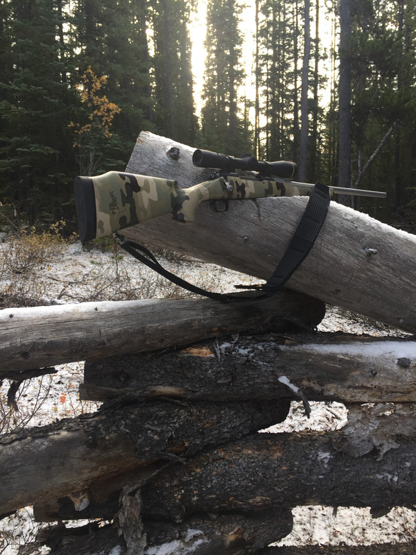 206FBCCD-A7D2-47E8-9A97-7046400CDDCC