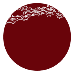 burnoutboyf on Tumblr