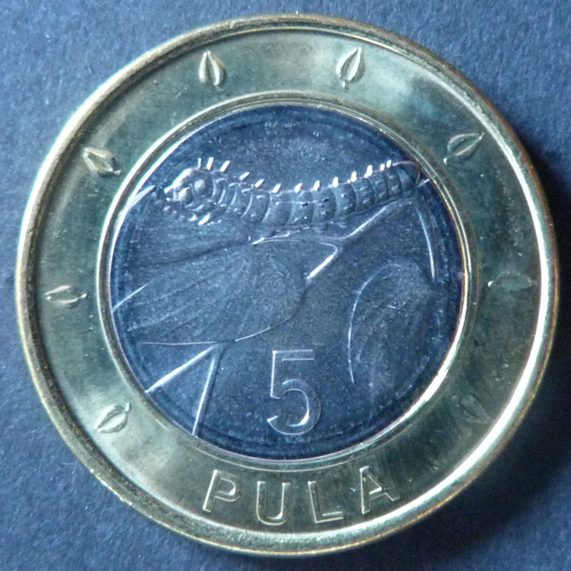 ¡¡Animales!! 5 Pula. Botswana (2013) BTS-5-Pula-2013-rev