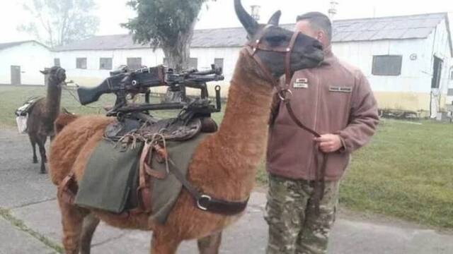 picdump-kw31-2024-005.jpg