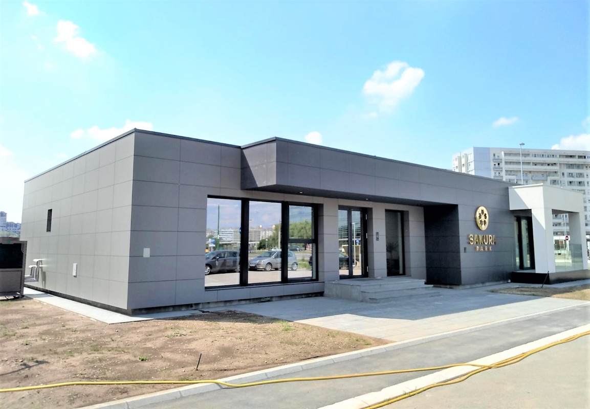 Сакура11 2020-06-09