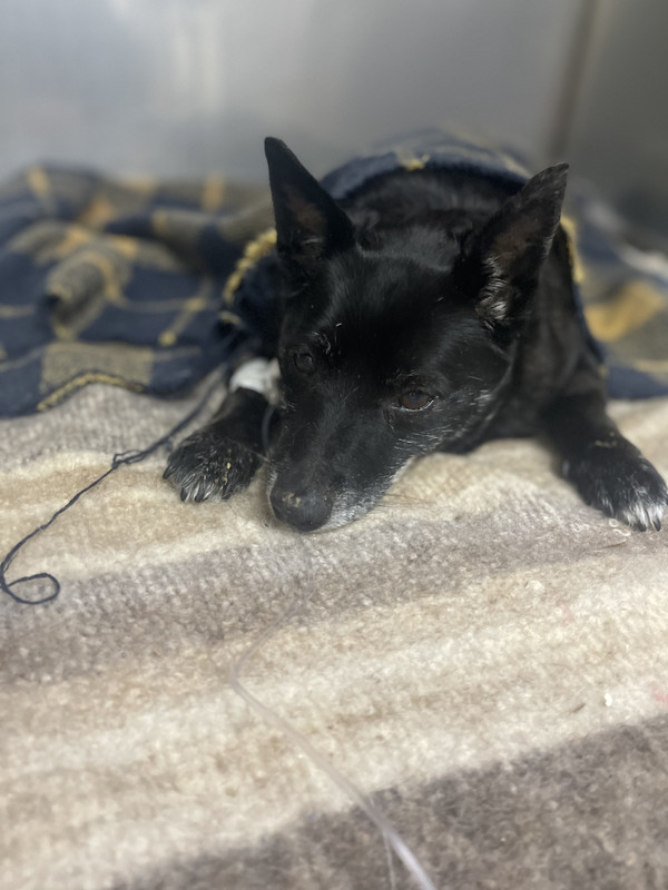 58B019EC-1C7B-4A50-A05B-07CD404F182A