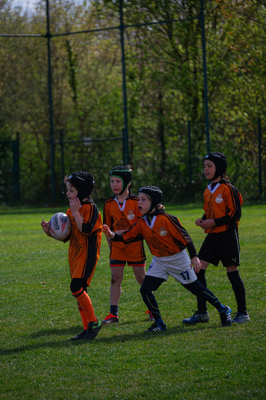 tournoi-de-latlantique-2026-adonis-griffon-102-55181692745-l