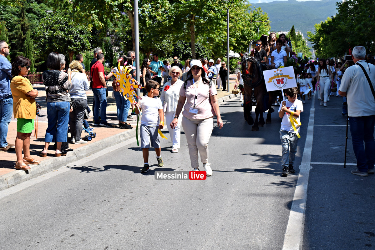 ΛΟΥΛΟΥΔΕΝΙΑ ΠΑΡΕΛΑΣΗ DSC_1450