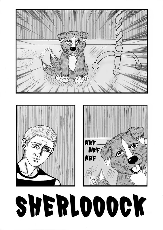bdpage3