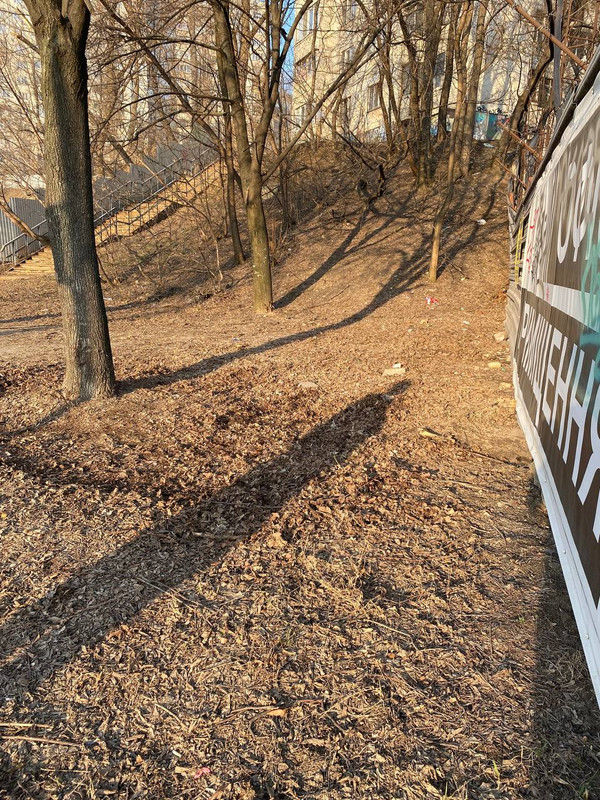 4FC31EA9-A88D-48BA-8DBD-2594DF461C83