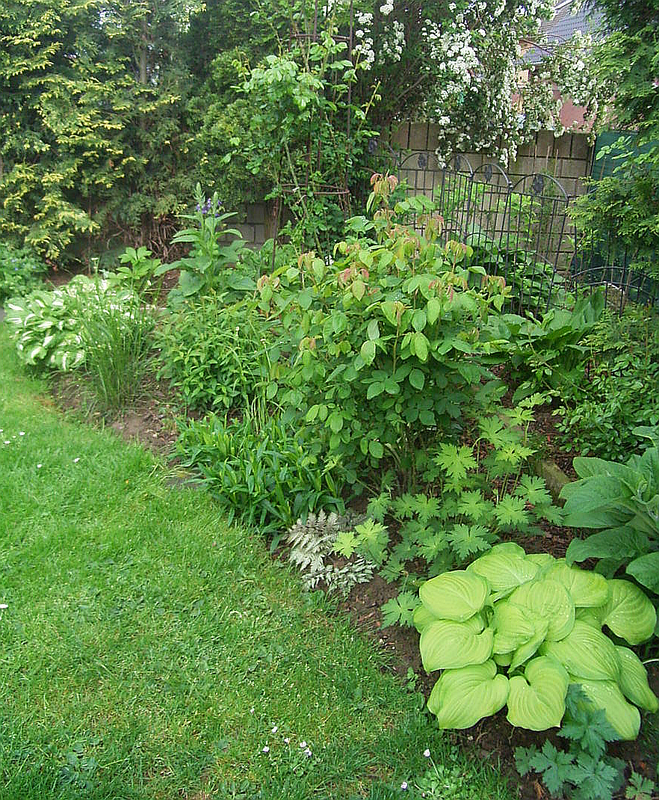 2005Garten 20052013_1