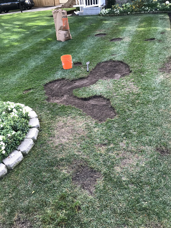 6B4F9112-DD39-40FF-94C7-9B181430DAF9