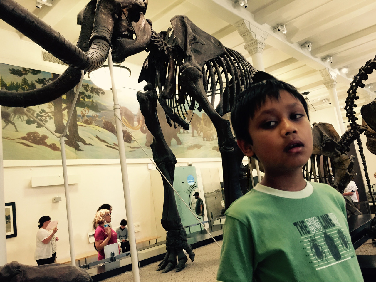 8c6b696af505b609b8ba440c520be332