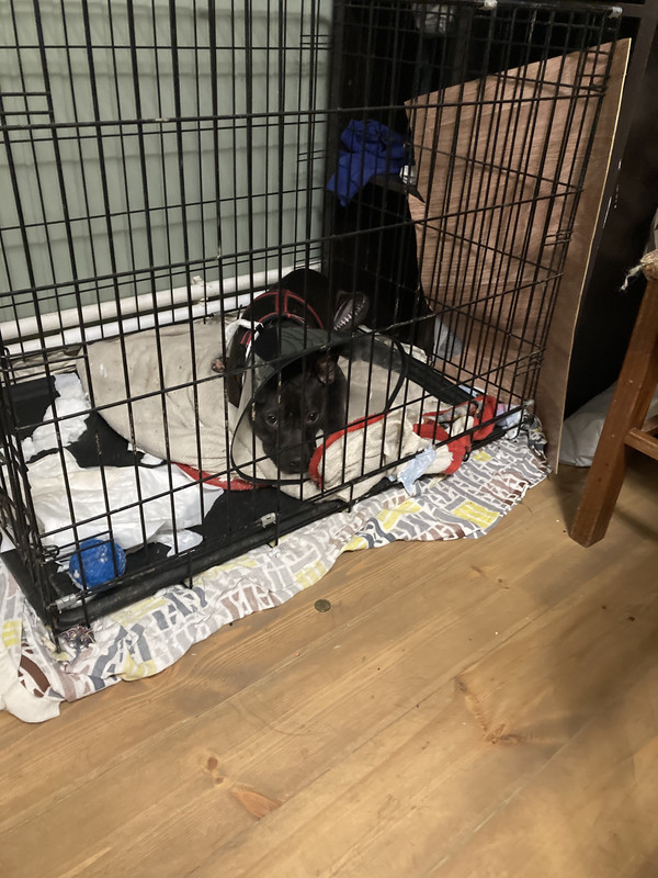 E3444B67-879F-48DF-9DD3-B3E917215D16