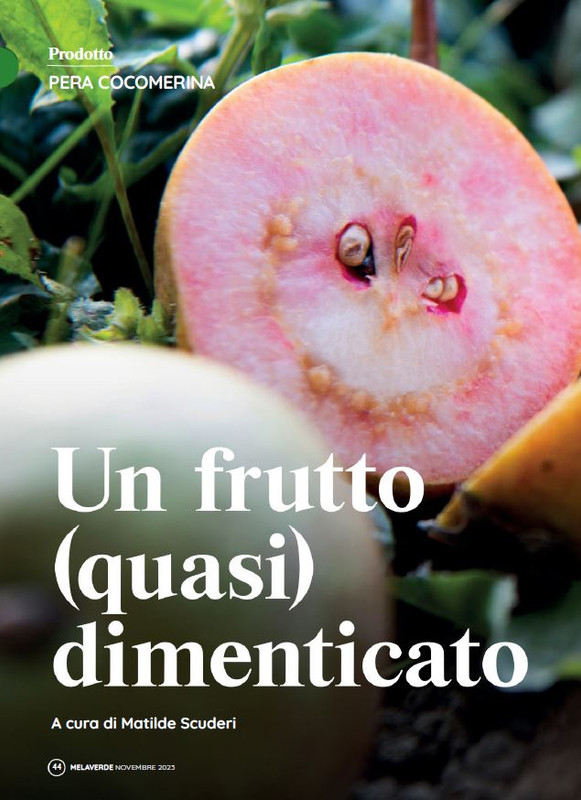 melaverde Nov 2023 (3)