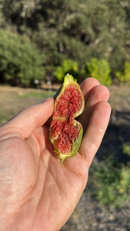 69FF9F86-1521-462A-BCBC-72672873E421