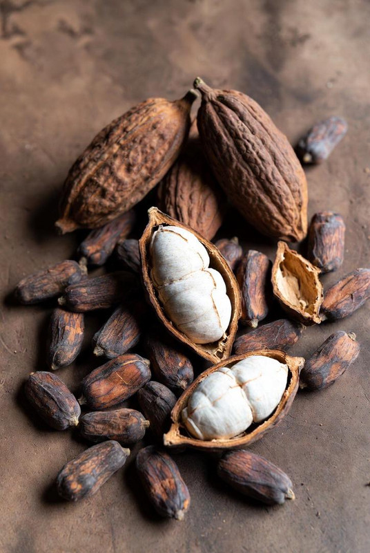 Cocoa beans