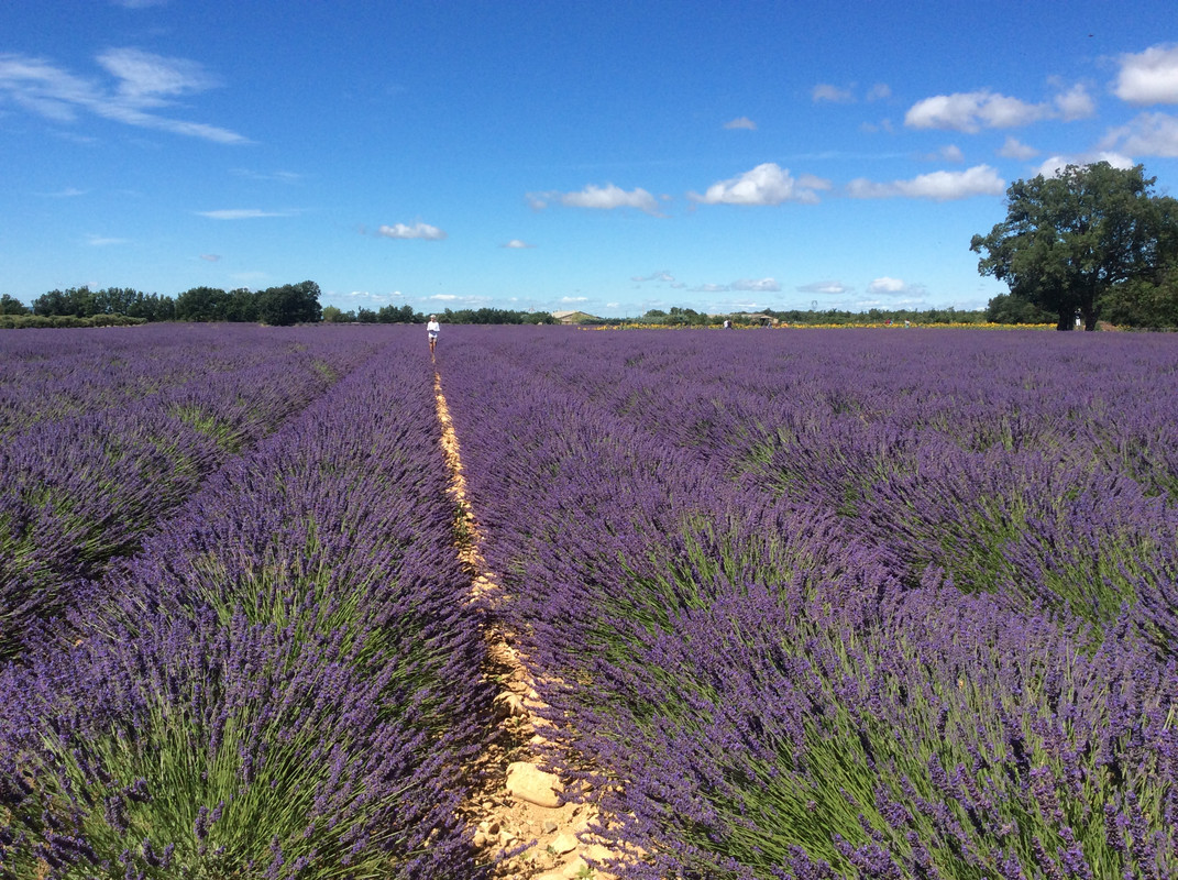 8BA683D5-5613-4F28-8898-DDBBE613E8A0