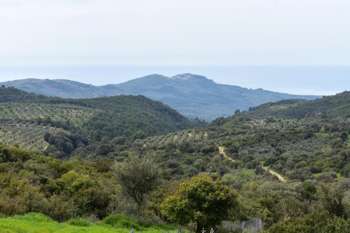 Άνω Ταξιάρχες