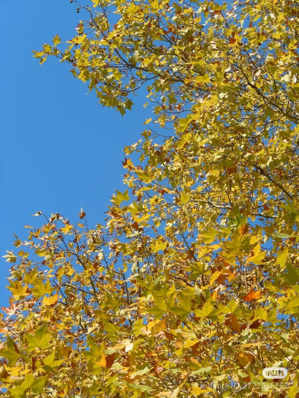 photo 11 2026 01 10 15 57 53