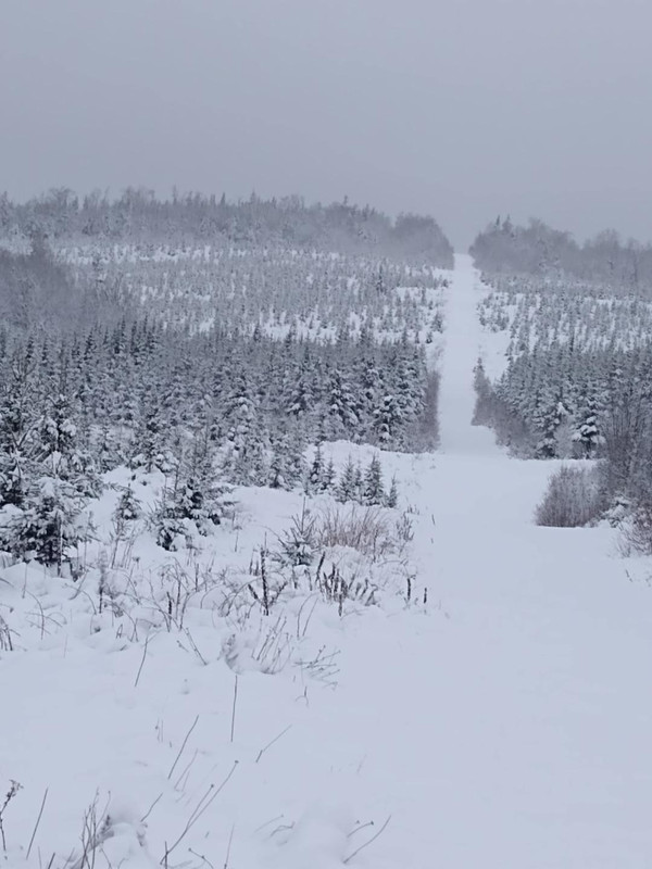 Snow roaD