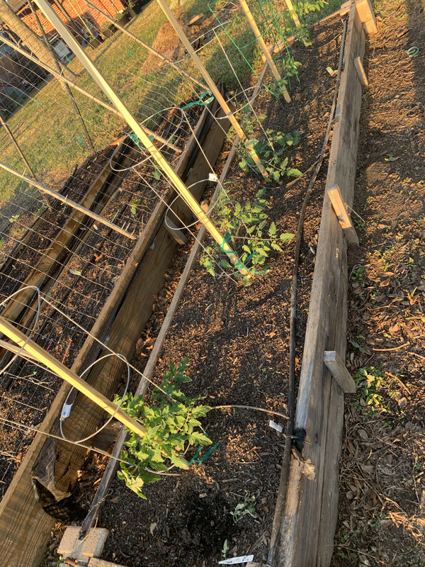 B34F2574-9FF0-4830-A58D-66A20DA6749E