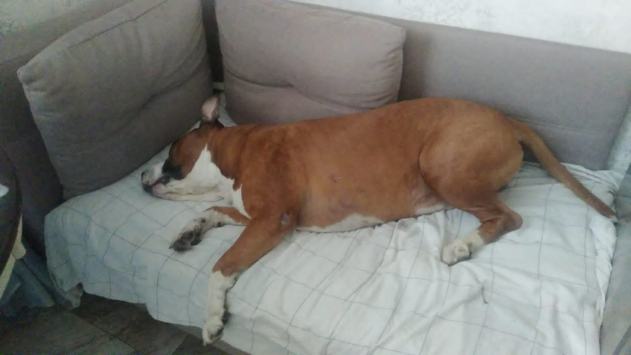 7390BCF3-7ED8-4CA4-9A5F-D6B75D152D7A