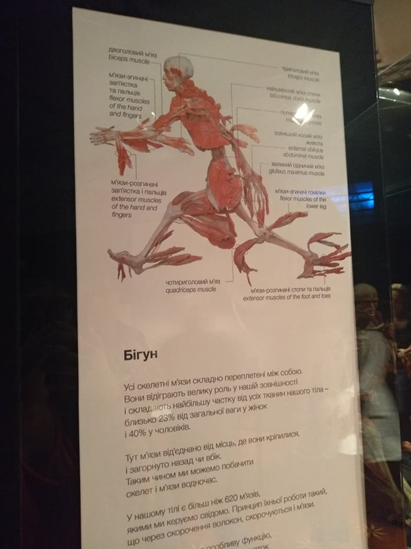 72699536_763872917382082_7476263831438622720_n