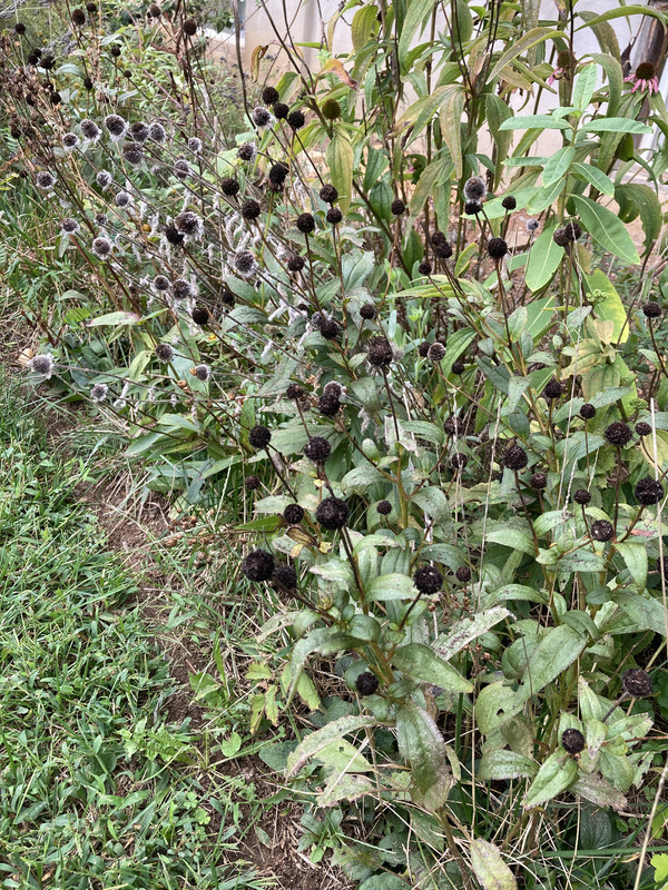 9C1B2F61-7109-4E2E-93D6-517EC88AC8BD