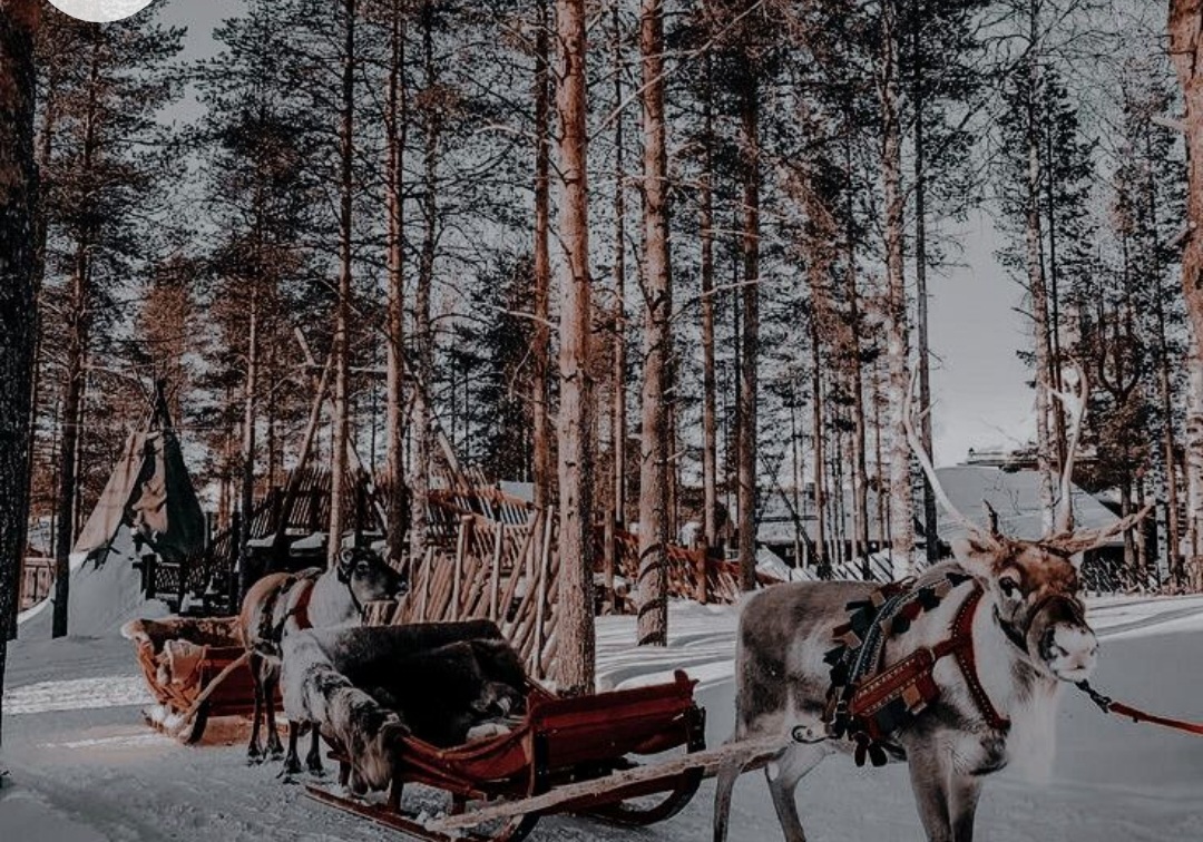 Screenshot_20221203-025124_Chrome