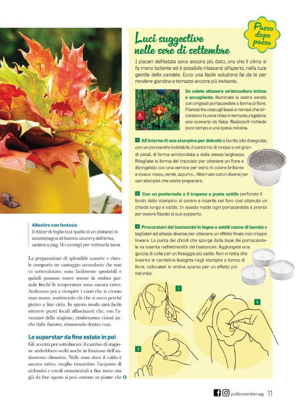 Pol Ver Set 2023 (2)