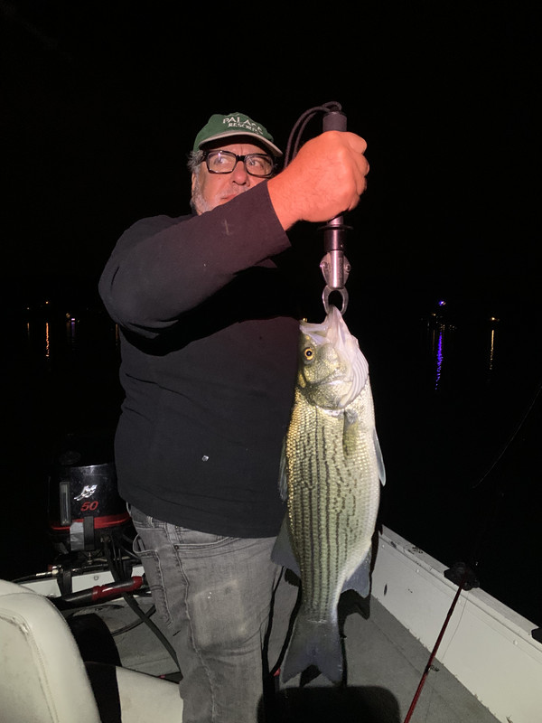 9E312F94-0571-4E88-96C2-BF491255D9E5