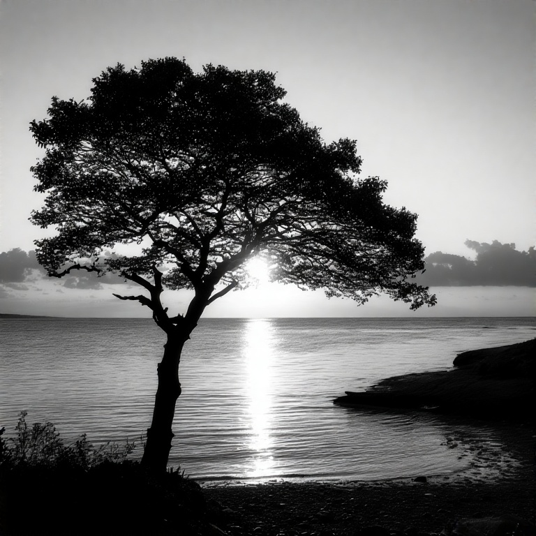 black-and-white-silhouette-of-2